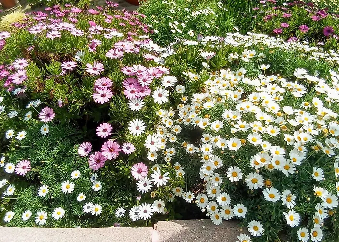 Atico Con Piscina Privada Y Vistas Al Mar דירה פואנגירולה