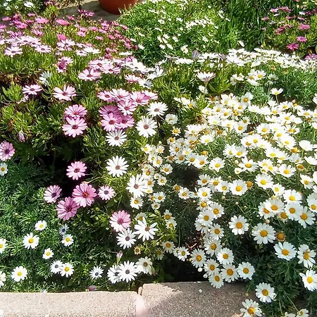 Atico Con Piscina Privada Y Vistas Al Mar Appartement Fuengirola