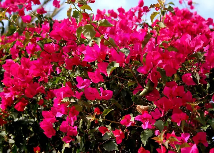 Apartment Atico Con Piscina Privada Y Vistas Al Mar Fuengirola